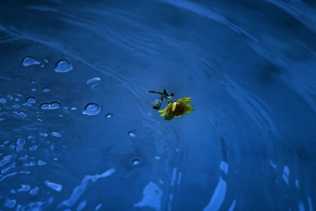 apelidos para o nome yasmin