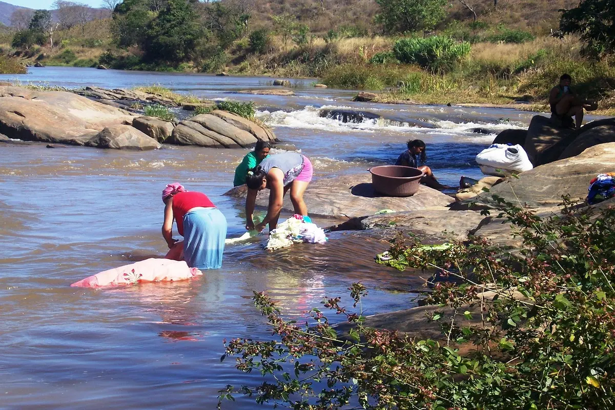 frases tz da coronel