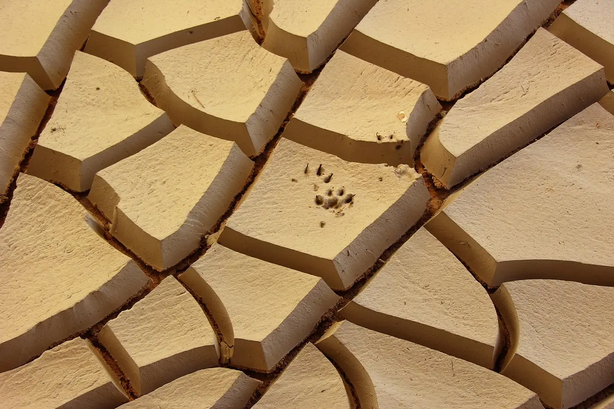 nomes de cria para instagram pedro