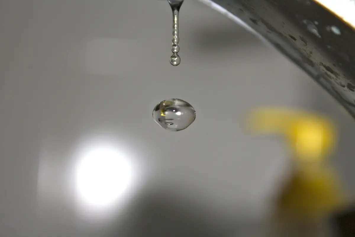 sarah estanislau altura