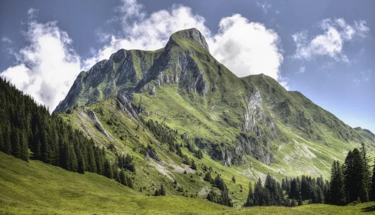 Fazer 2024 250 Entenda Como Alcançar Esse Objetivo Com Sucesso