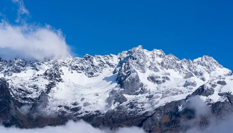 Jade Picon Altura e Peso Entenda os Dados Mais Importantes