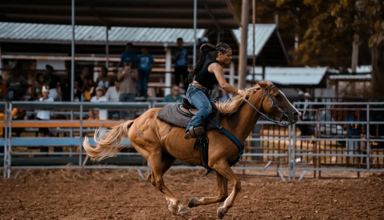 Rodeio Famoso: Tudo o Que Você Precisa Saber Sobre Essa Tradição Cultural