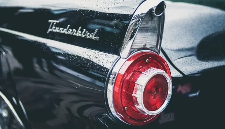 Símbolo do Vasco da Gama Entenda Seu Significado e História