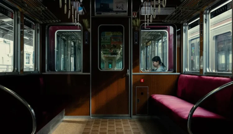 Transportadora MAFD WhatsApp Entenda Como Utilizar Hoje