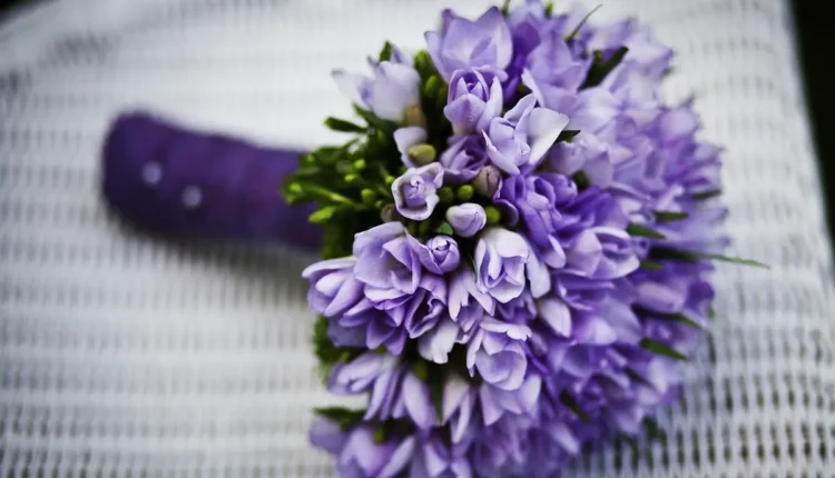 Apelidos para Ana que Encantam e Inspiram