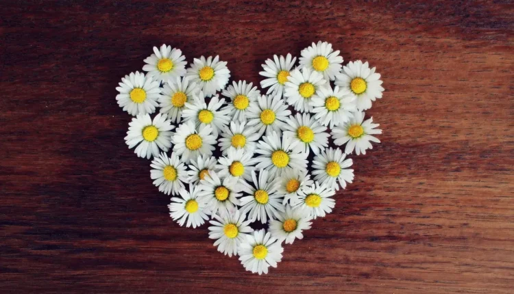 Apelidos para Isabela: Ideias Carinhosas