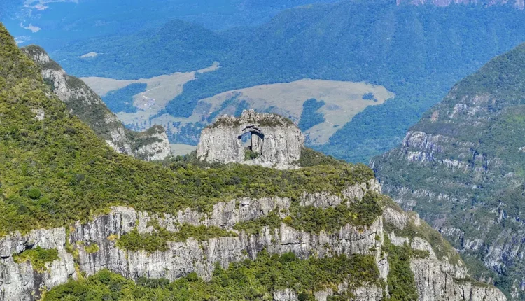 Apelidos para Joaquim: Ideias Criativas e Carinhosas