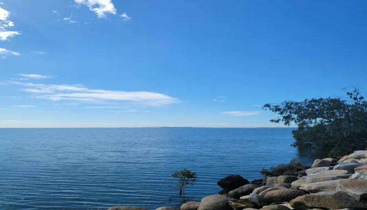 Apelidos para o nome Renan: ideias criativas