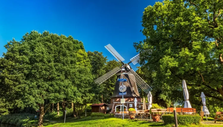 B99 Holt: Tudo o Que Você Precisa Saber