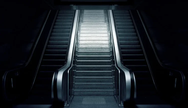 Bio Dark: Tudo o que você precisa saber