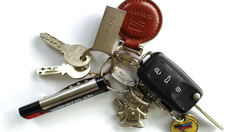 Biz precisa de habilitação Entenda Tudo o Que Você Precisa Saber