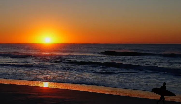 Catarina Paolino Altura Entenda os Fatos que Você Precisa Saber