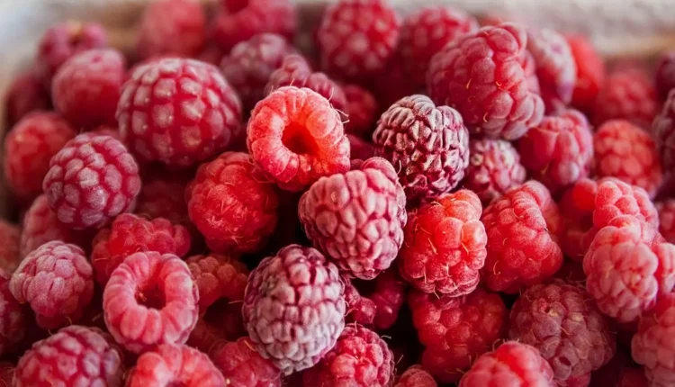 Comidas com R: Tudo o Que Você Precisa Saber