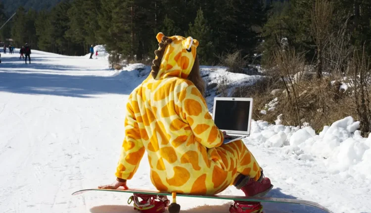 Coworking São Paulo Gratuito: Entenda Como Funciona e Onde Encontrar