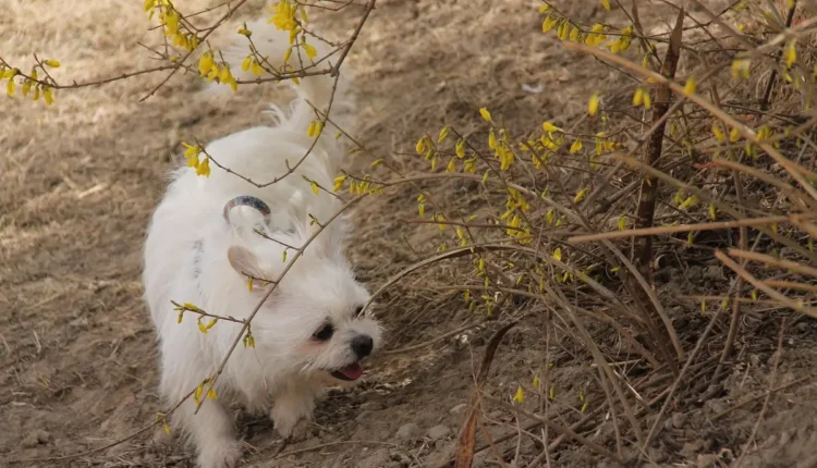 Esse usuário: Tudo o que você precisa saber