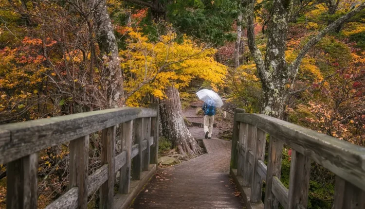 Filipe Ret altura: Tudo o que você precisa saber