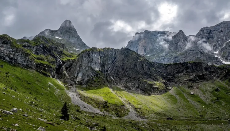 Matue altura: Entenda