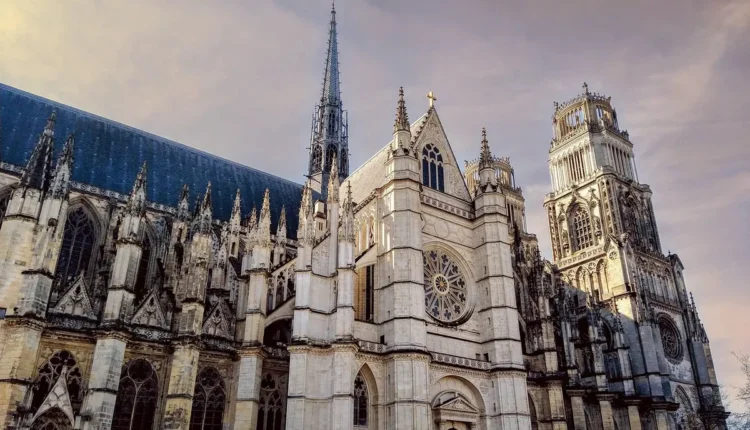 Melhores Marcas de Batata Frita Congelada: Tudo o Que Você Precisa Saber