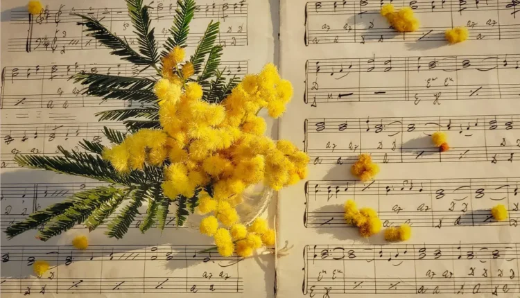 Musica Indireta Para Ex Entenda Como Escolher a Faixa Perfeita