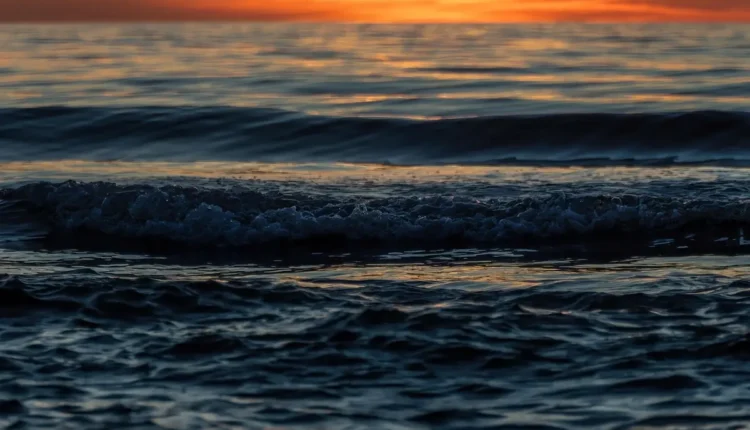 Praia Prumirim É Boa Entenda Por Que Vale a Visita