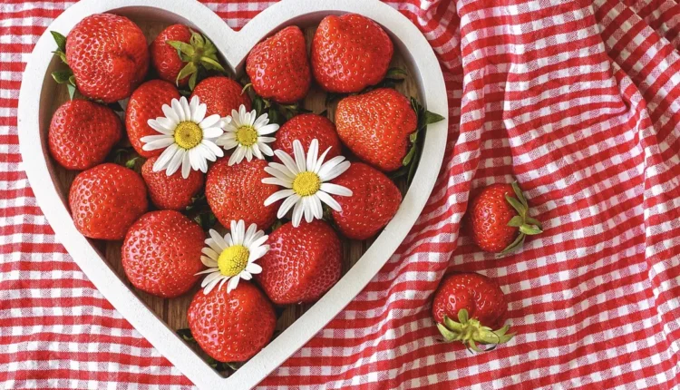 Saldo Transurc Pelo Número Do Cartão Entenda Como Verificar