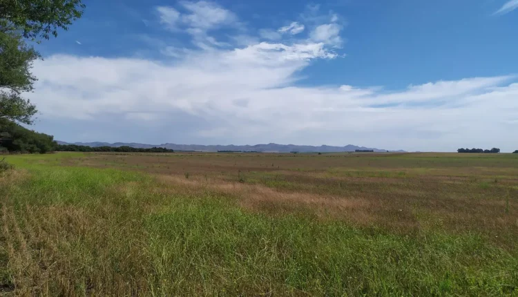 Tz Da Coronel Altura Entenda Tudo o Que Você Precisa Saber