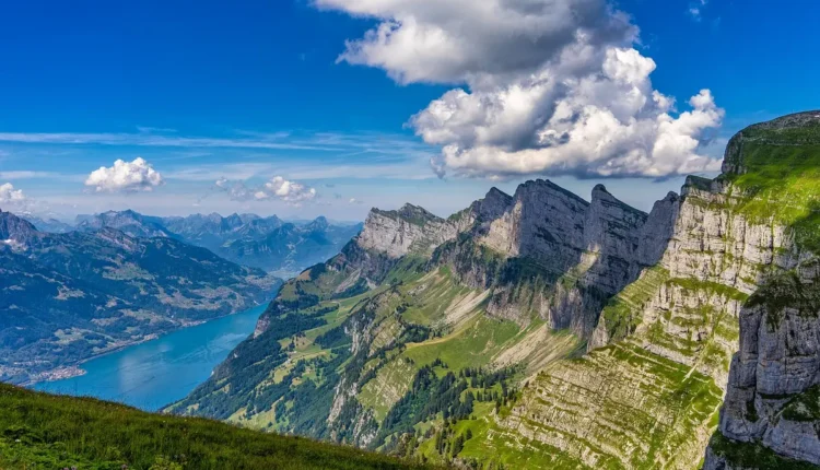 Veigh altura: Tudo o que você precisa saber