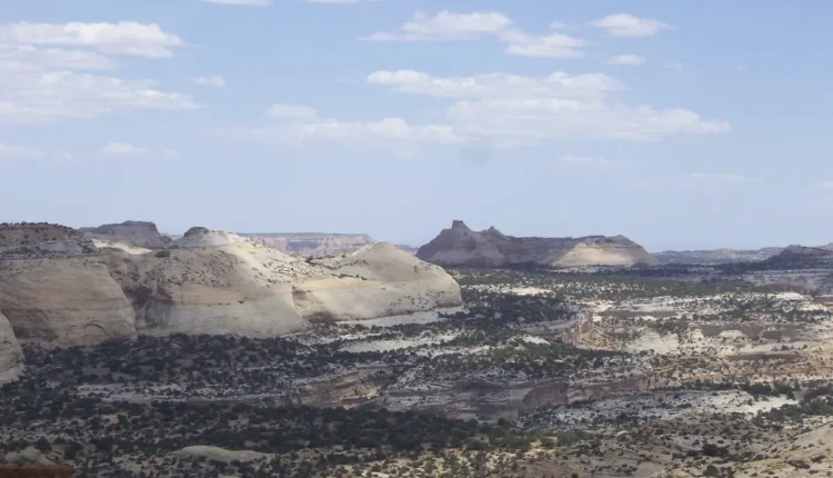 Apelidos para Rafael: Ideias Criativas e Carinhosas