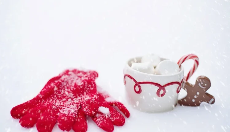 Qual o tamanho do toddynho: Entenda