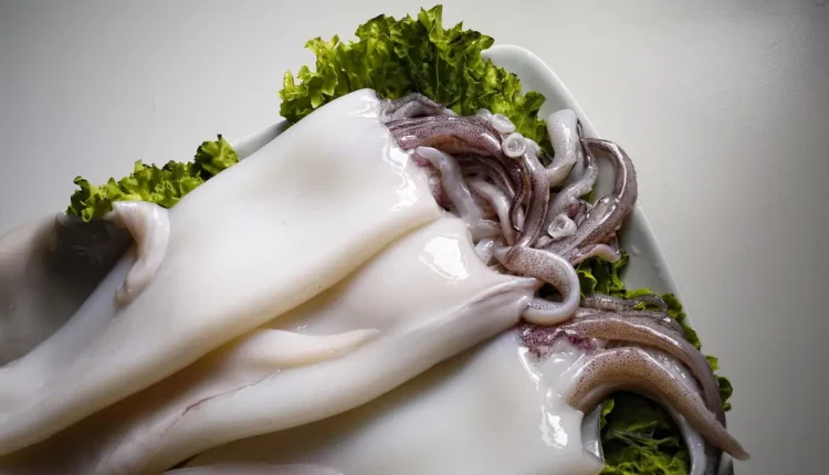 Chefin altura: Entenda