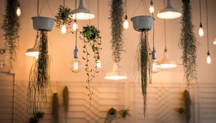 Ideias de user para Instagram com o nome Clara: opções criativas