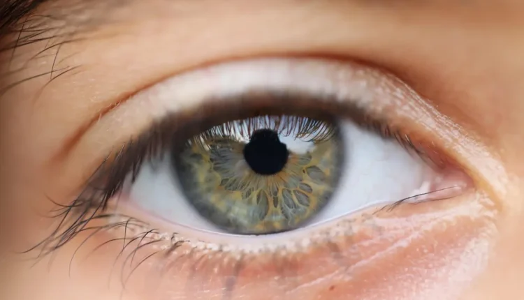 Jully poca altura: Entenda