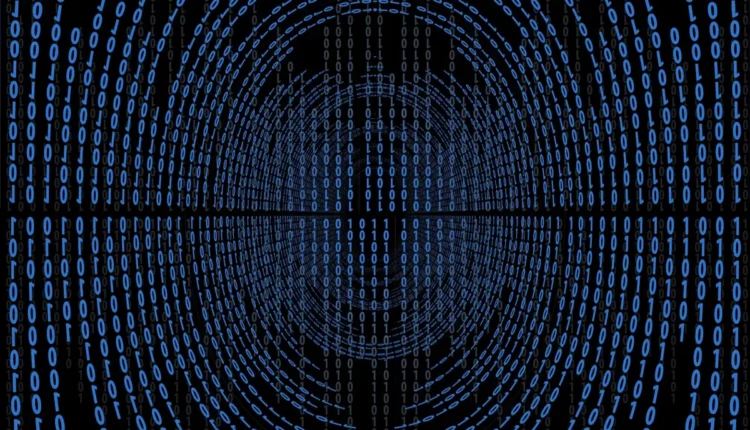 O que significa 010: Entenda