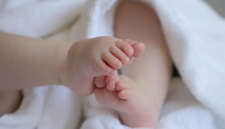 Quem nasceu em 2015 tem quantos anos? Entenda